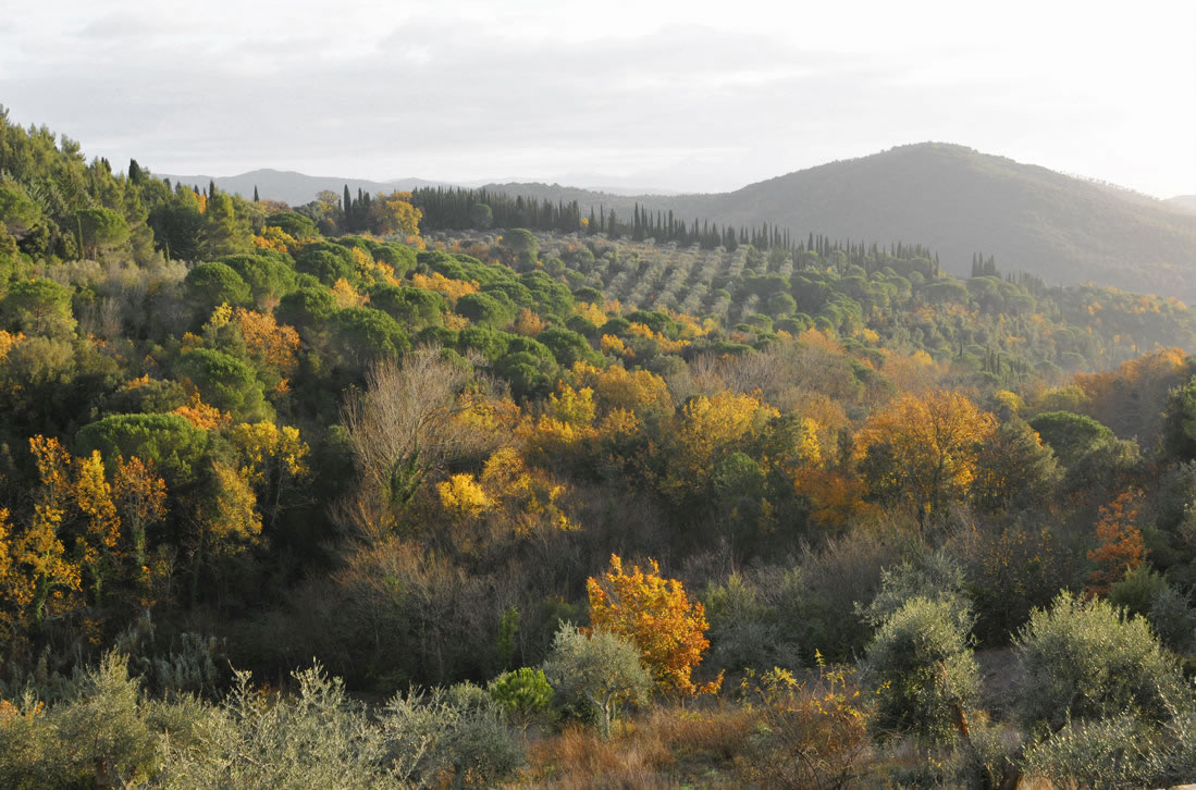 Spirituelles Wachstum